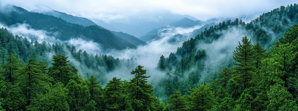 Himalayan Peaks