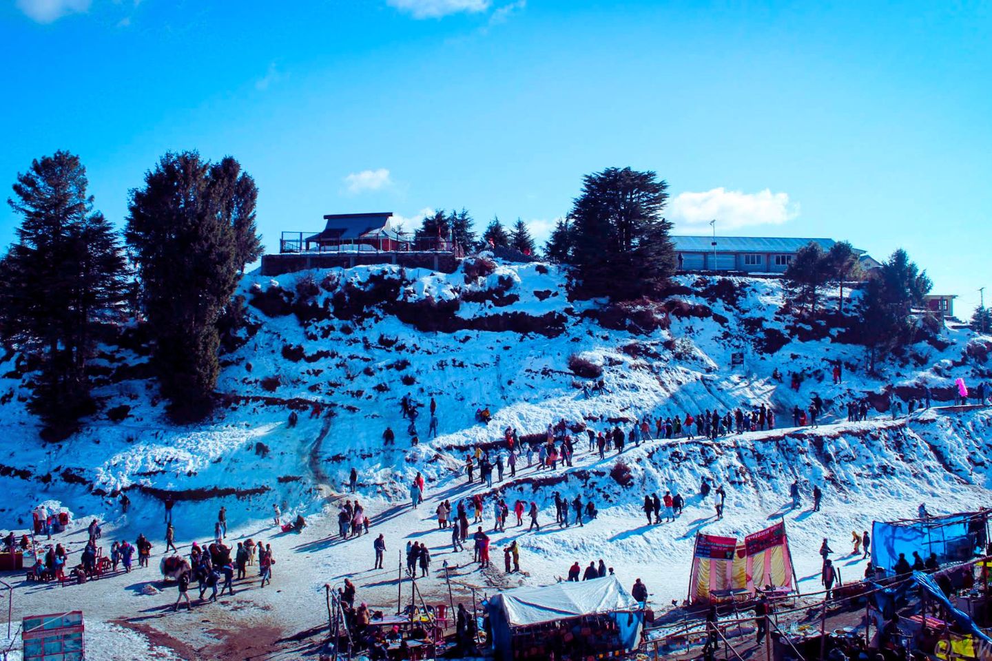 Shimla